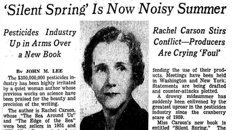 Newspaper clipping about Rachel Carson