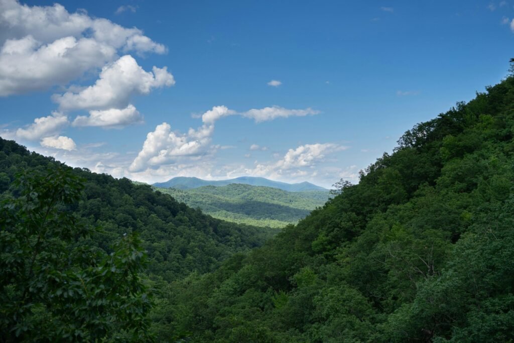 Appalachian Mountain Scene
