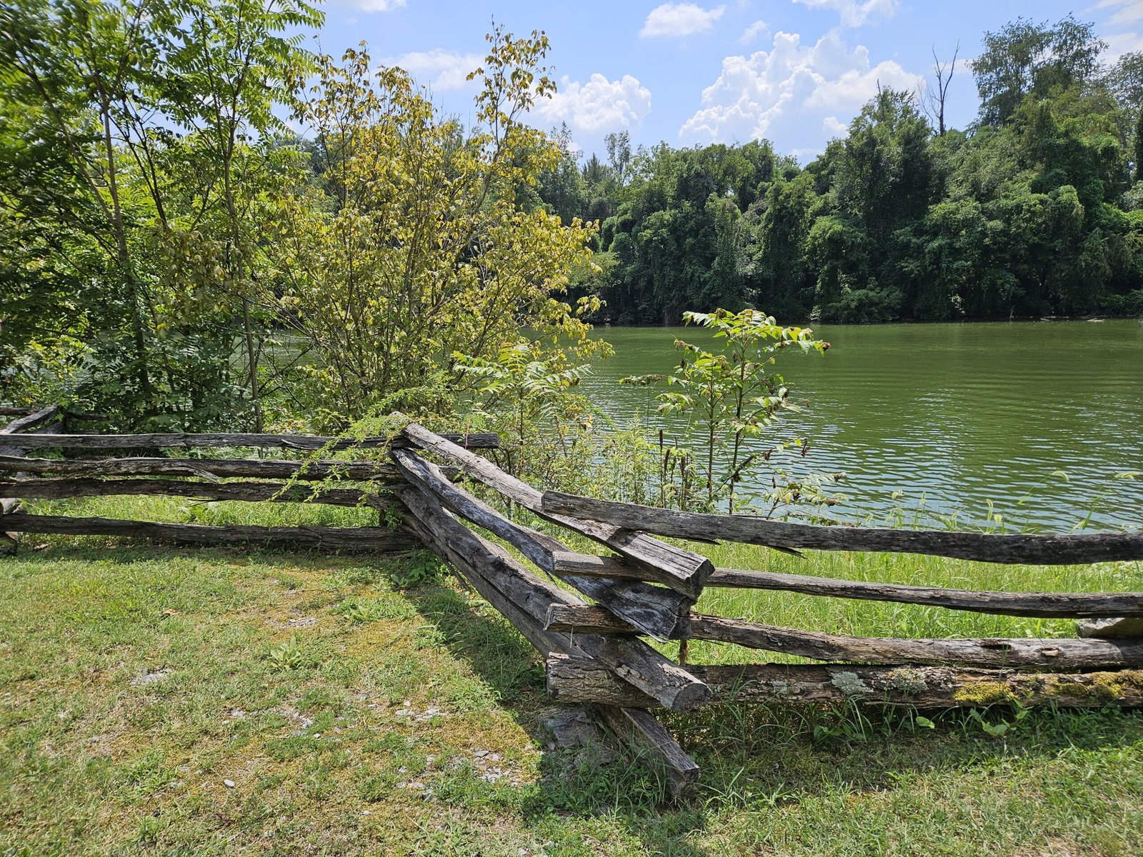Weathered split-rail fence along a grassy lakeshore, with calm green water and dense trees beyond under a blue sky.