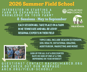 Summer Field School Ad