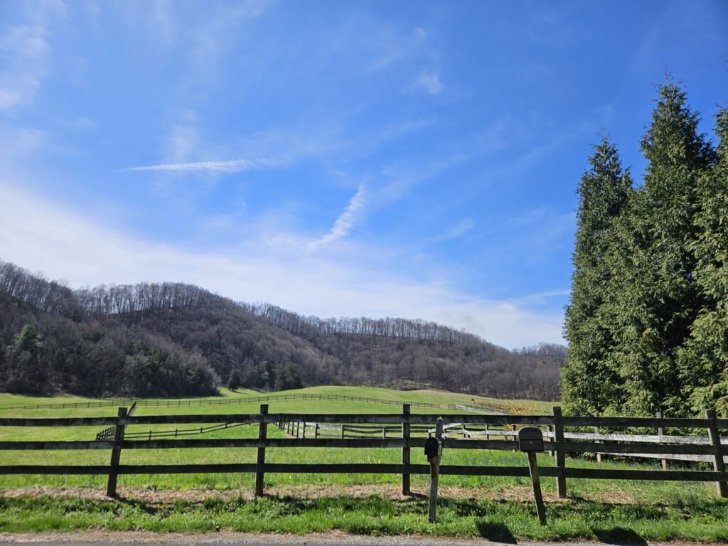 Wide rural scene featuring a split-rail fence in the foreground, green fields, and a tall evergreen on the right under a clear blue sky with distant leafless hills.