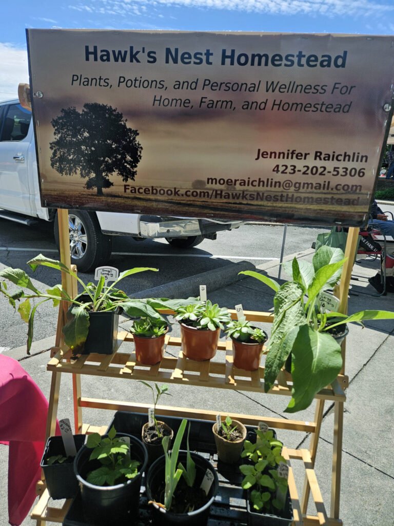 Banner for 'Hawk's Nest Homestead' at a plant stand, with various potted plants displayed on wooden racks.