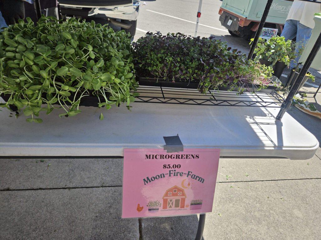 Pink sign advertising microgreens for  in a market display with lush green and purple leafy plants on a metal rack.