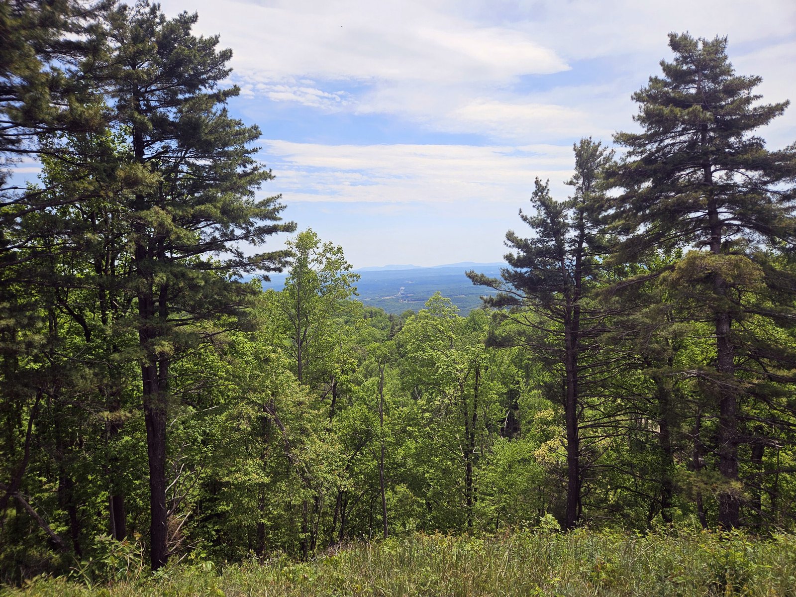 Piedmont Viewpoint from the Blue Ridge Parkway