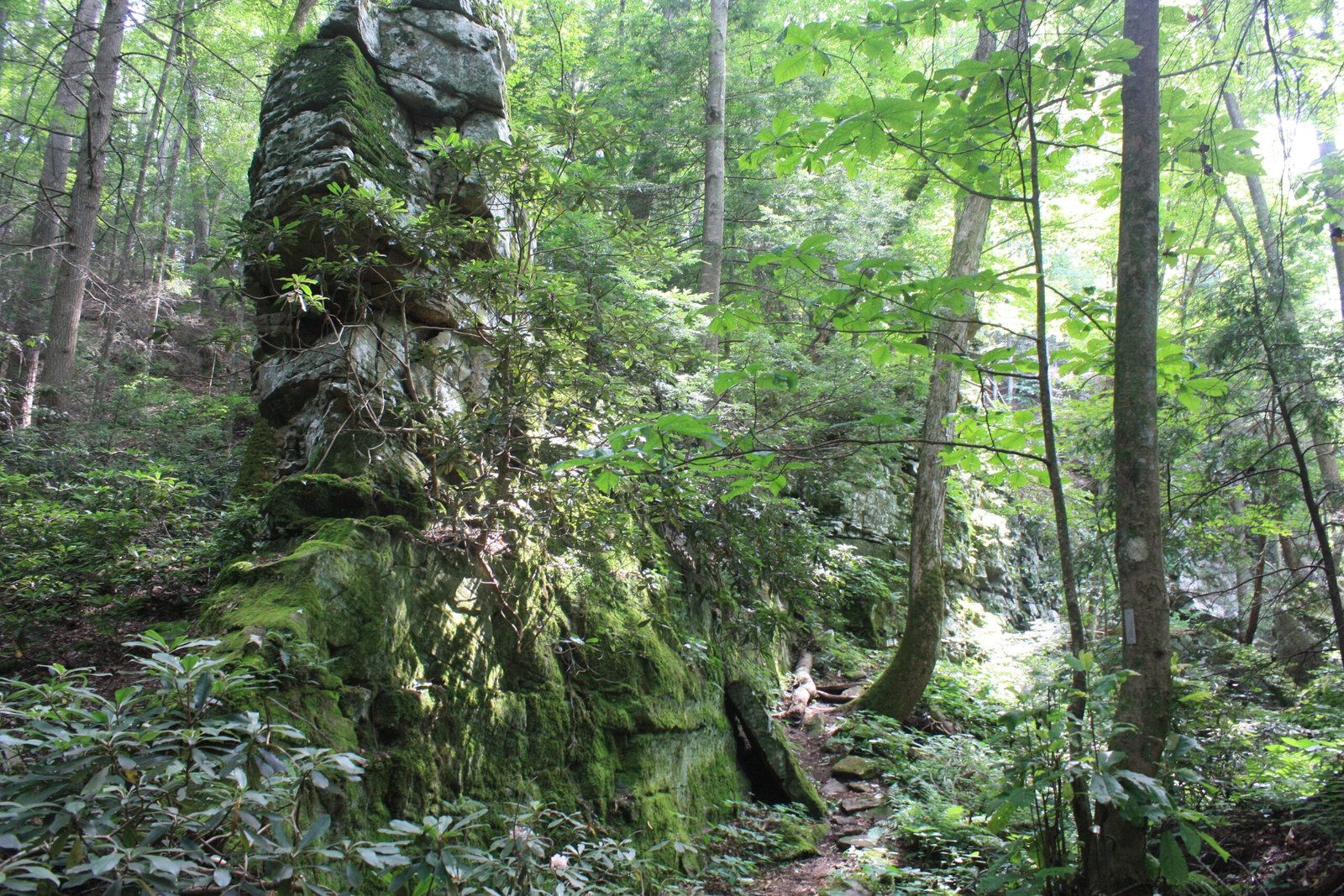 Breaks Interstate Park – photo by vastateparksstaff