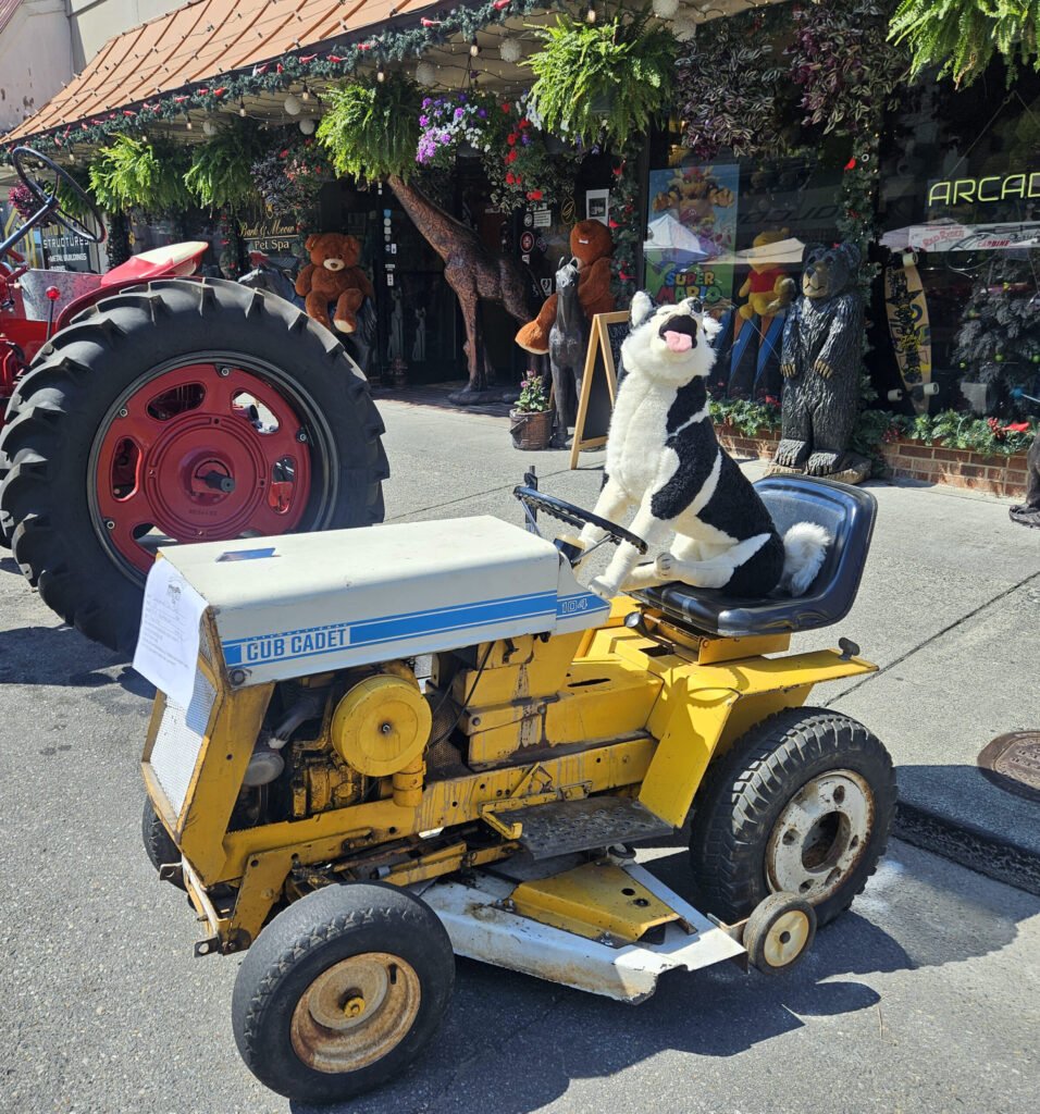 Cub Cadet with Fake Dog