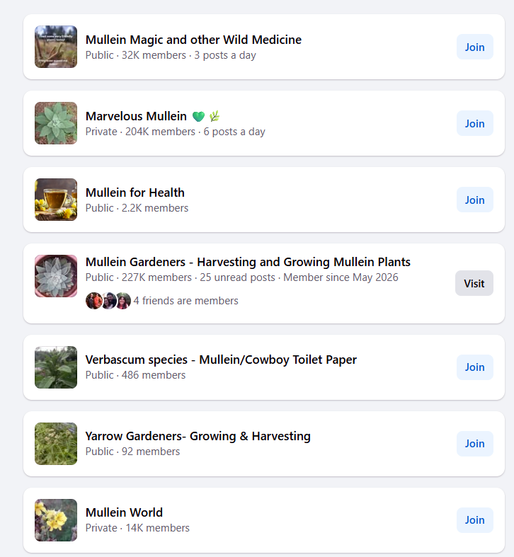 Facebook groups dedicated to Mullein