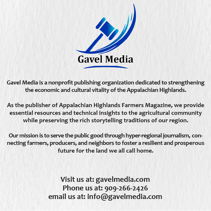 Gavel Media Advertisement