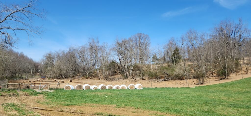 Bails of hay and animals from a distance