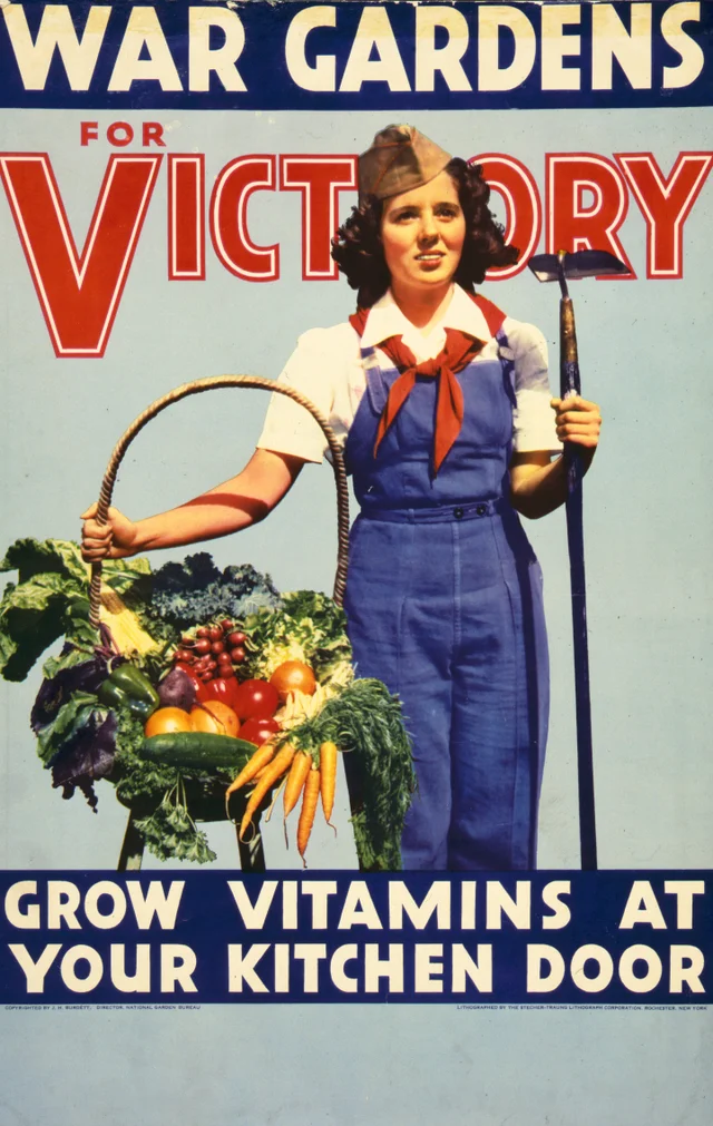 A WW2 Era poster encouraging people to plant victory gardens