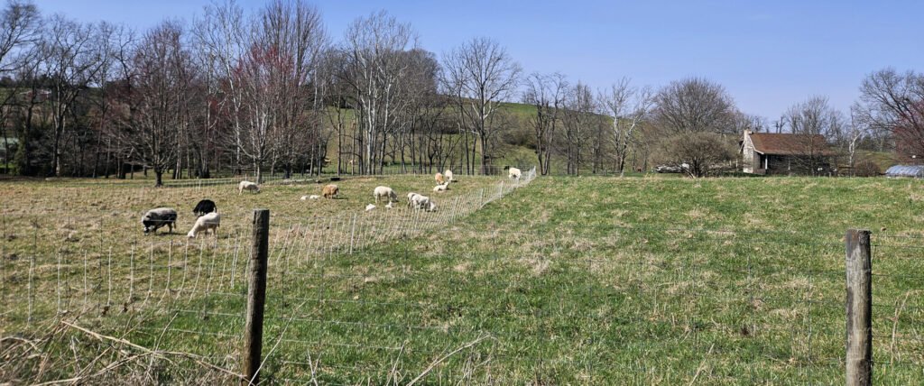 20260313_144618 - Appalachian Highlands Farmers Magazine A farm with animals in Jonesborough