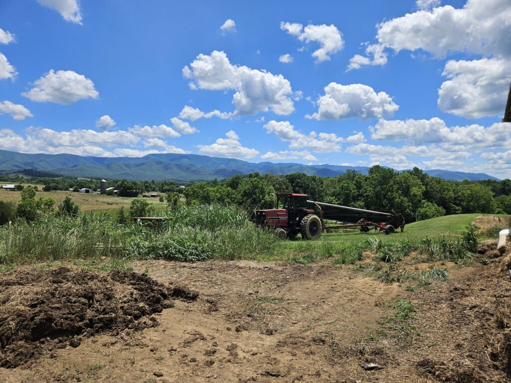 A view from the barn