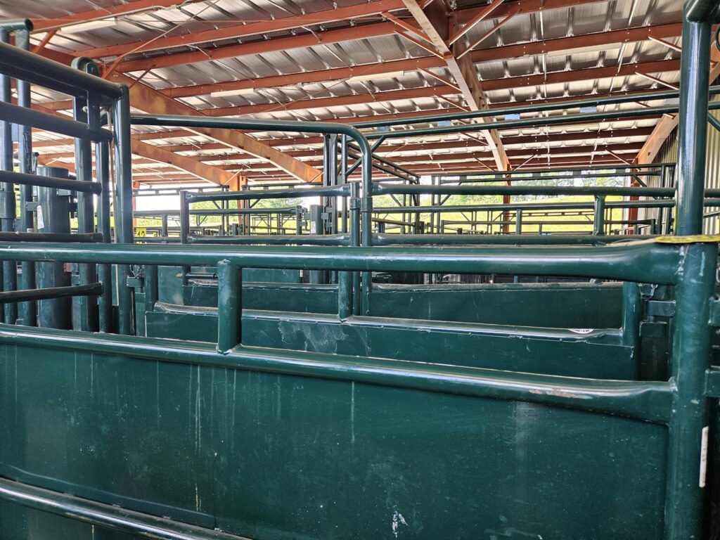 20260613_143537 - Appalachian Highlands Farmers Magazine This industrial livestock handling facility features a cattle squeeze chute and alley system designed for safe animal management.