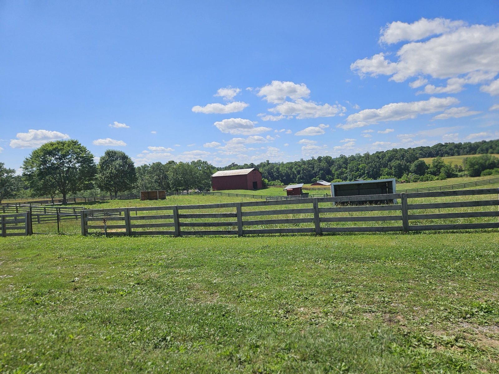 Open rural farm scene with red barn, wooden fences, green pastures and a bright blue sky with scattered clouds
