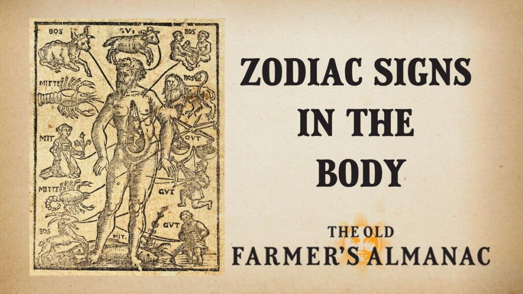 Zodiac Signs in the Body - Courtesy of the Old Farmers Almanac
