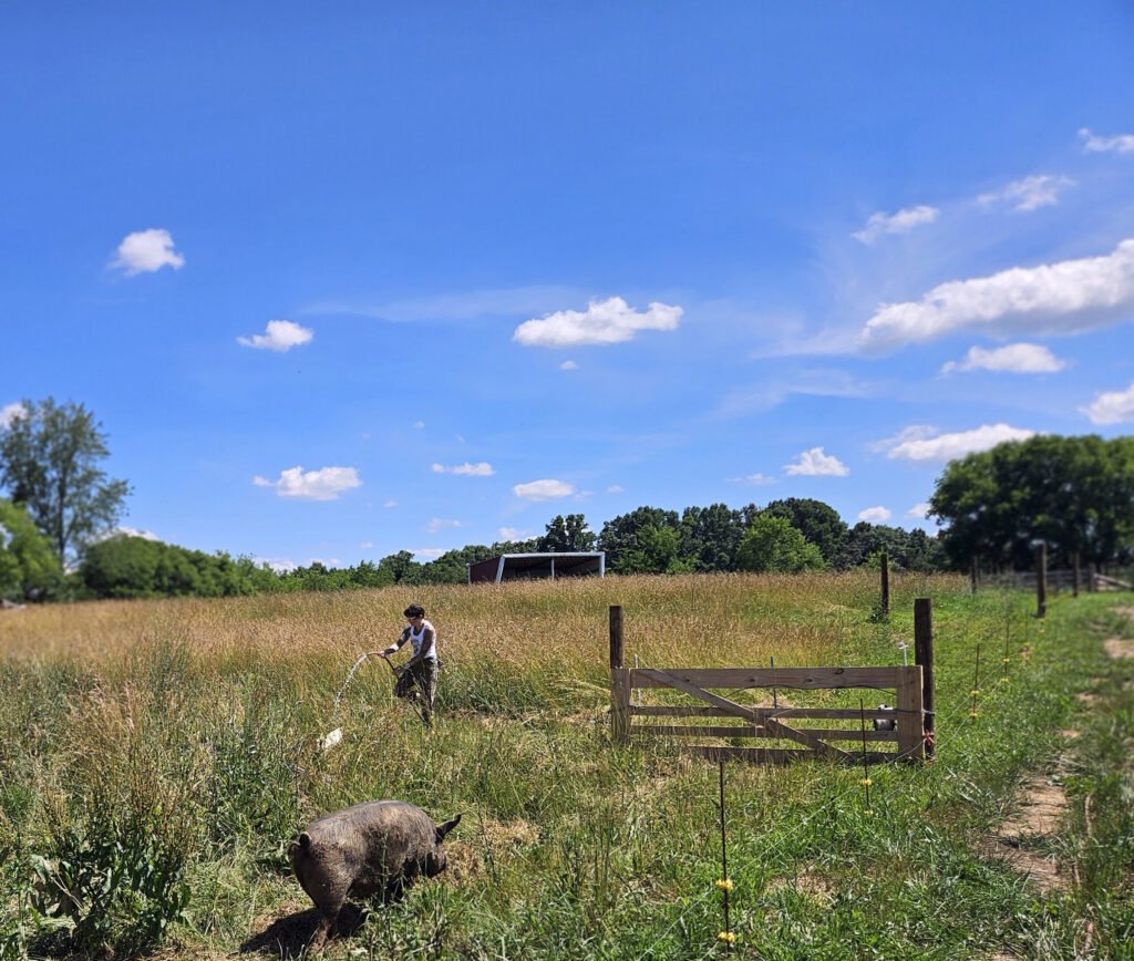 watering - Appalachian Highlands Farmers Magazine NRCS helped install the pipes and watering system that the farm uses.