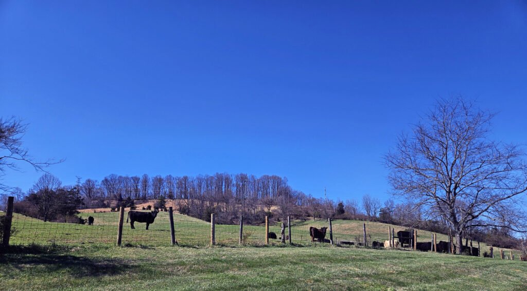20260324_150511 - Appalachian Highlands Farmers Magazine A farm scene with livestock and a beautiful blude sky.