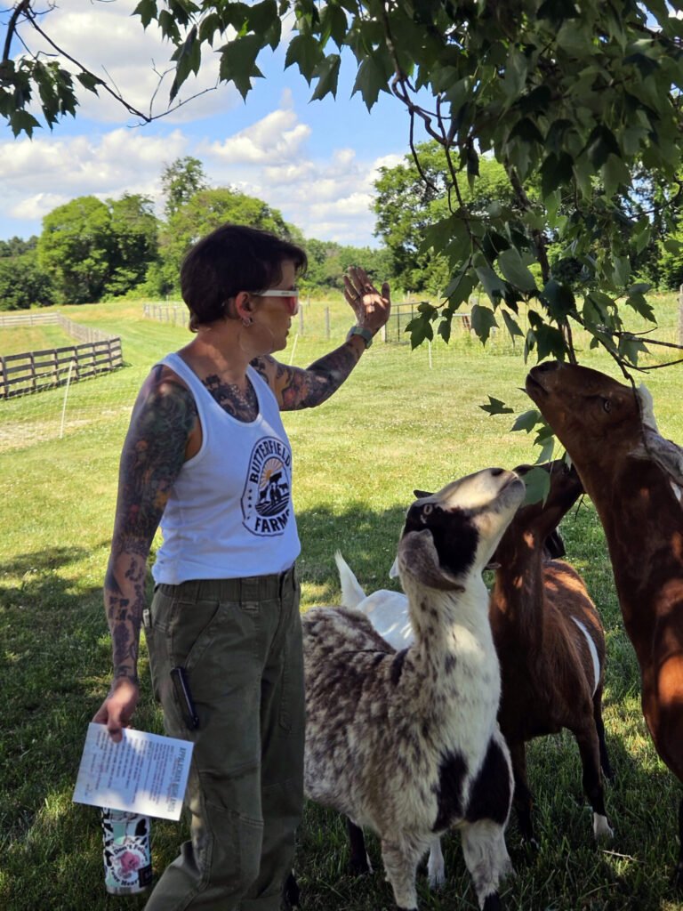 Abby Terhune lets the goats have some leaves.