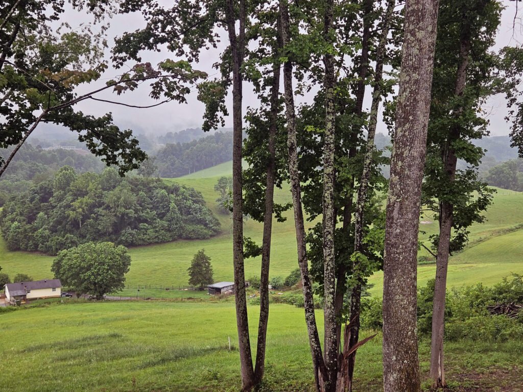 A view from the concert stage