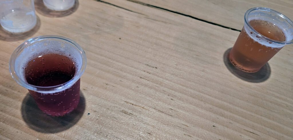 Two sample glasses of Cider