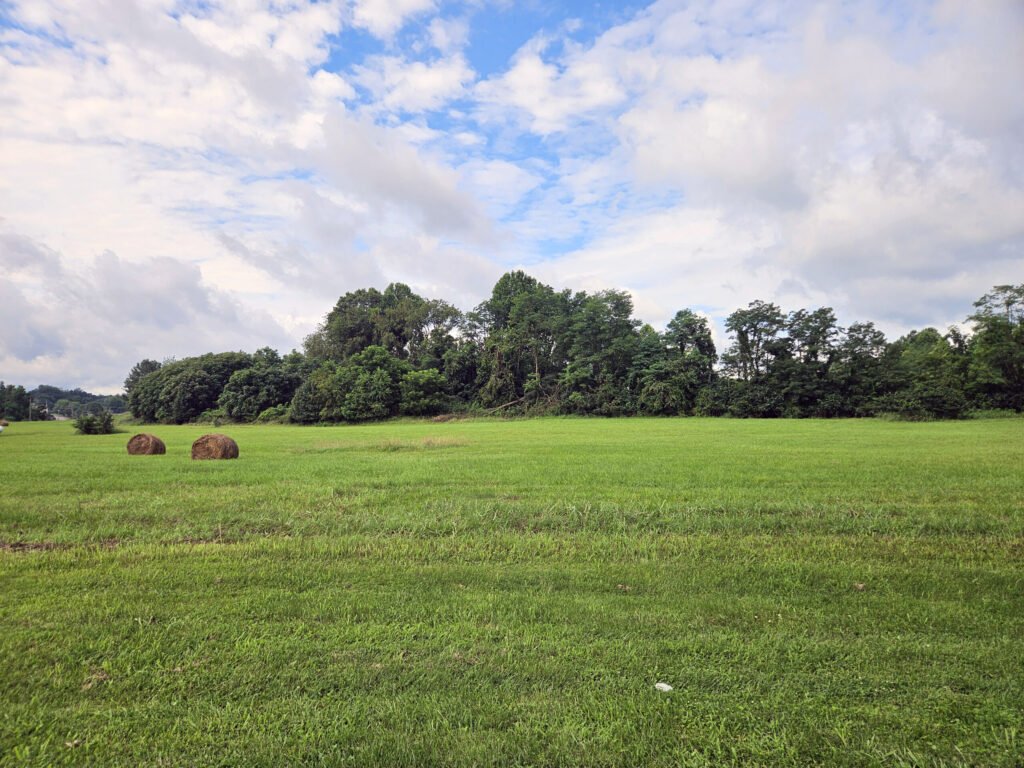 A meadow with bails of hay at the Rural King Farmers Market.