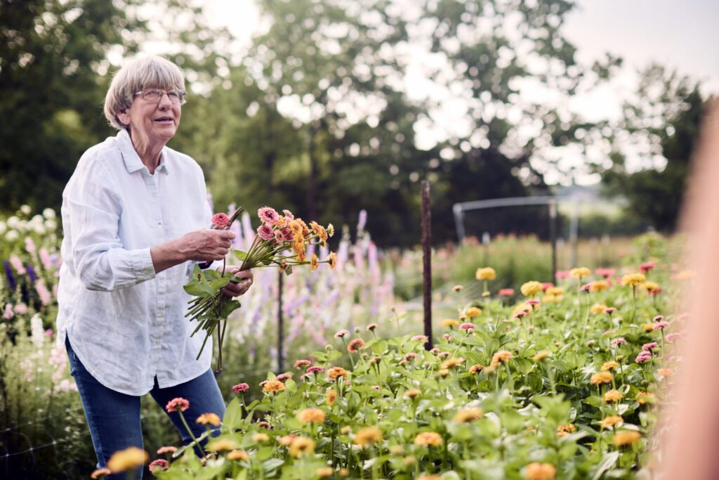 AuntWillies_2025_GYC_0023 - Appalachian Highlands Farmers Magazine Linda Doan specializes in cut flowers and special events on the farm at Aunt Willie’s Wildflowers (Blountville, TN)