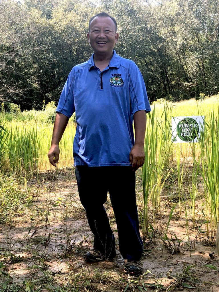 Smiling man in a blue polo shirt stands in a rice field with tall green stalks surrounding him.