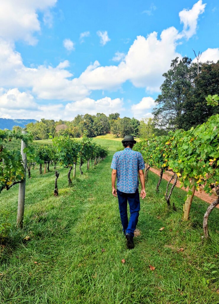 Addison Farms Vineyard _Jessica Lee Alton