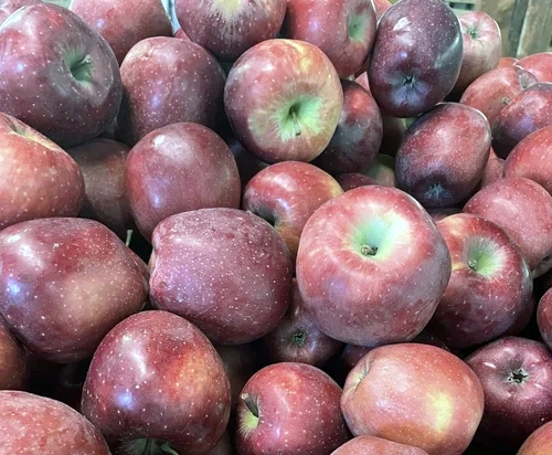 Apples grown in Nelson County, VA