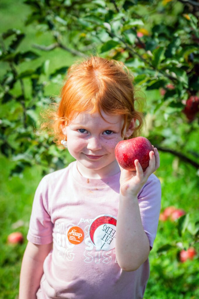 KTs Orchard