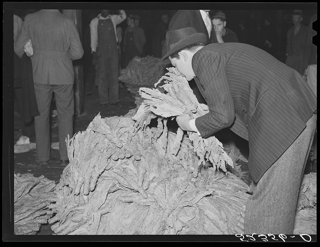 Buyers examining tobacco during an auction sale in a warehouse. Durham, North Carolina 1939 Nov- Wolcott, Marion Post, 1910-1990