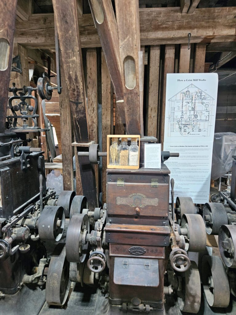 Sprout Waldron Roller Stands