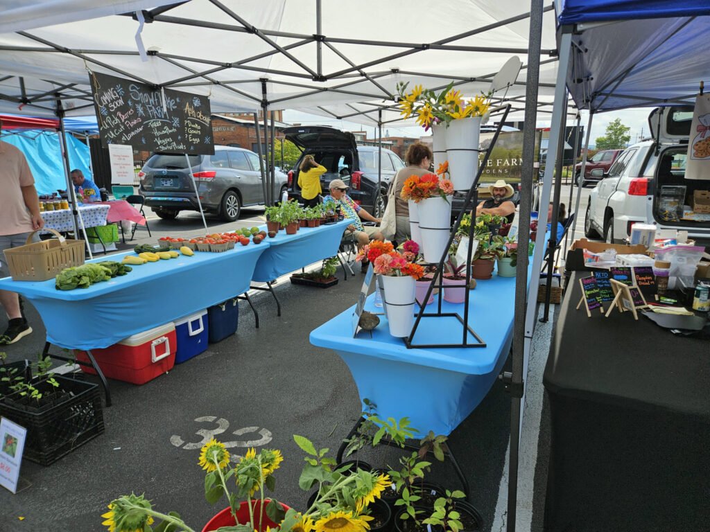 20260808_113613 - Appalachian Highlands Farmers Magazine Outdoor farmers market under white canopies with blue tablecloths, displaying tomatoes, peppers, and leafy greens, plus bright sunflowers in pots.