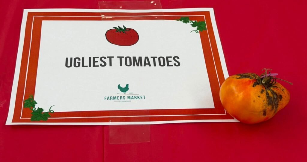769309561_1481936737310040_6200793897383710286_n - Appalachian Highlands Farmers Magazine The Ugliest Tomato was Won by Sabra Fender