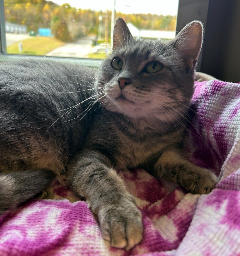 Aurora is relaxing