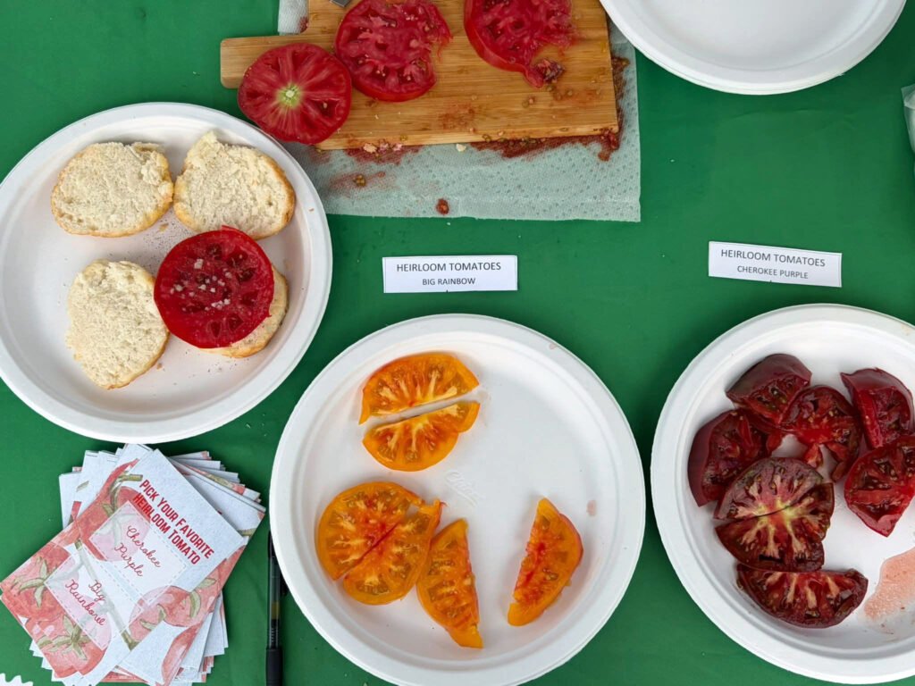 Biscuits - Appalachian Highlands Farmers Magazine Fresh Bojangles Biscuits with tomatoes