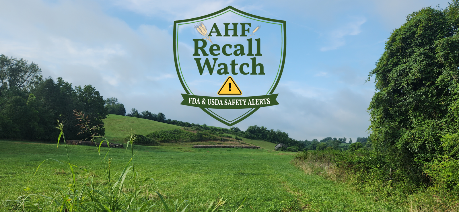 Recalls Featured Image