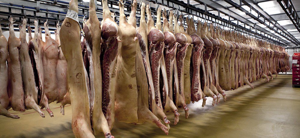 SPAR_bicskei_husuzem - Appalachian Highlands Farmers Magazine Ranchers bring their cattle to the a meat packing company with beef hanging from hooks