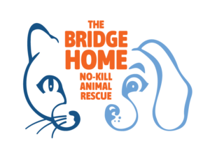 Logo for The Bridge Home No-Kill Animal Rescue showing blue line drawings of a cat (left) and dog (right) around orange text. Intended as branding.