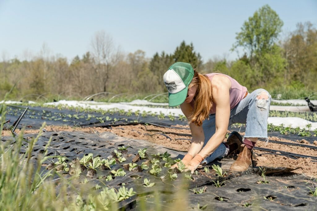 A farmer tends to crops. - Photo by Zoe Richardson