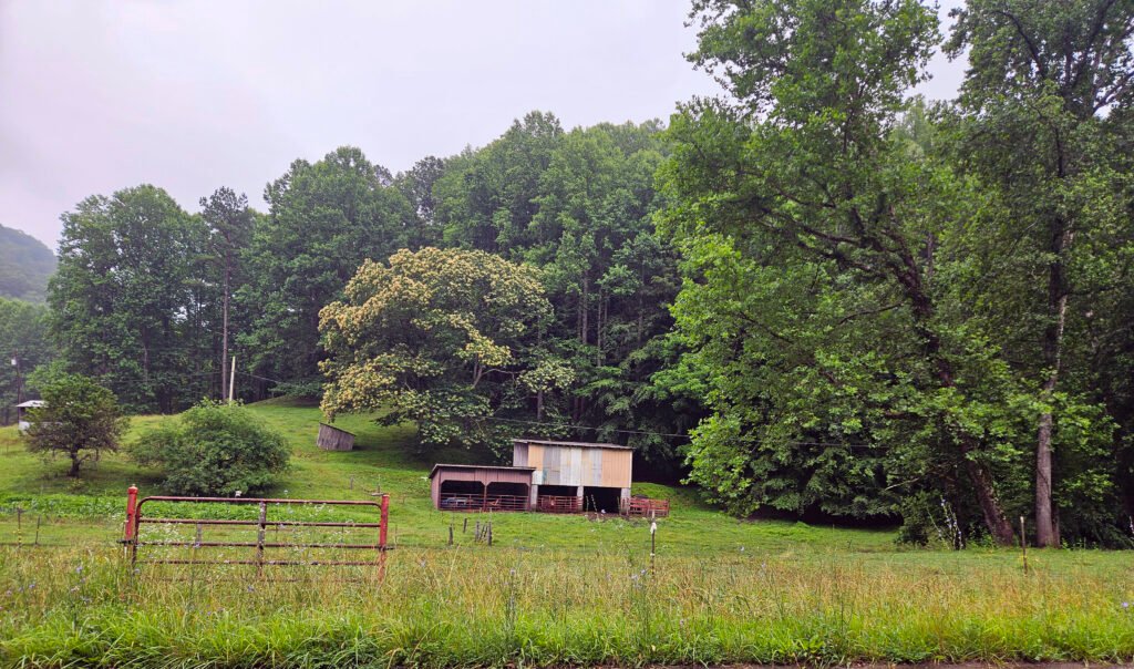 A barn at a farm next to the forest. - Photo by A. Creighton - North Carolina NRCS FY2027 Conservation Funding Deadline