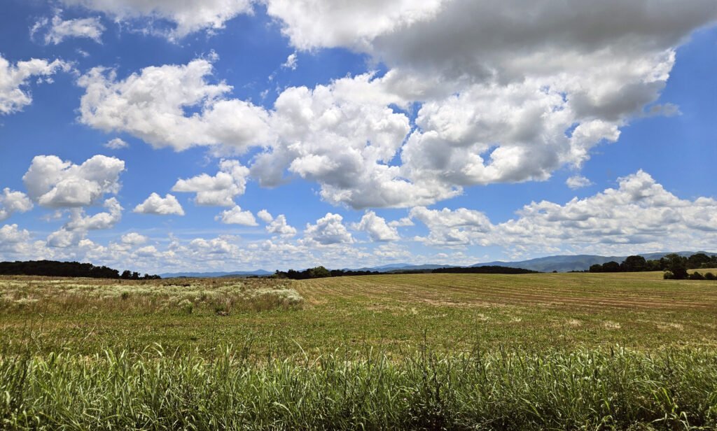 A WNC AgOptions Grant would help this farm. A farm field that has been tilled. - Photo by A. Creighton