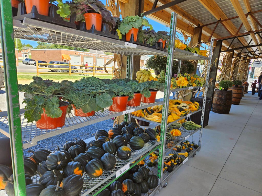 20260926_123712 - Appalachian Highlands Farmers Magazine A variety of produce, kale, gourds, squashes in the porch.