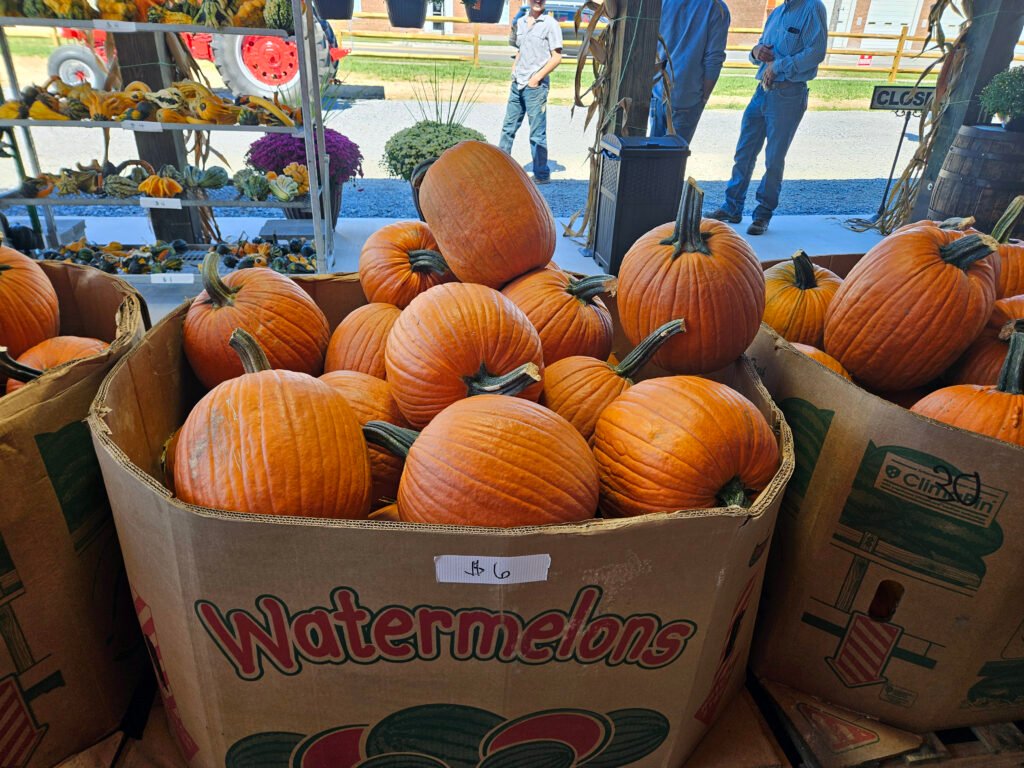 20260926_123729 - Appalachian Highlands Farmers Magazine A box full of orange pumpkins on the porch.