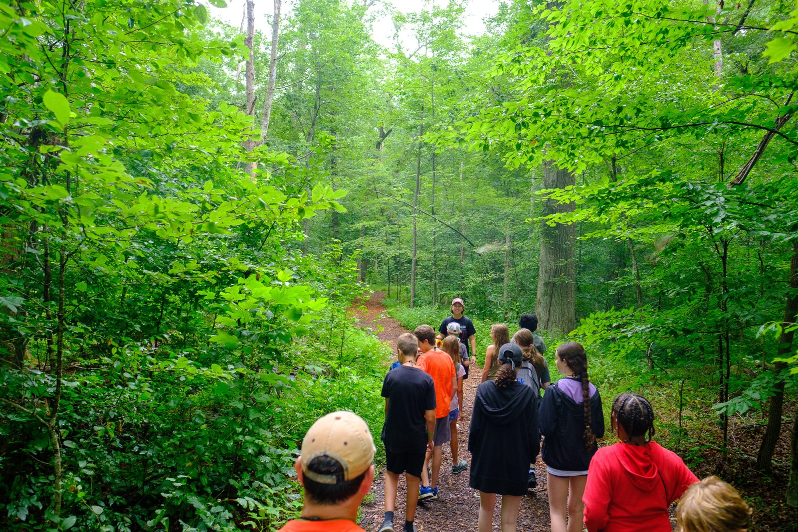 Group of children and adults walking along a dirt forest trail surrounded by dense green trees and leaves. Berea Forestry Field Day
