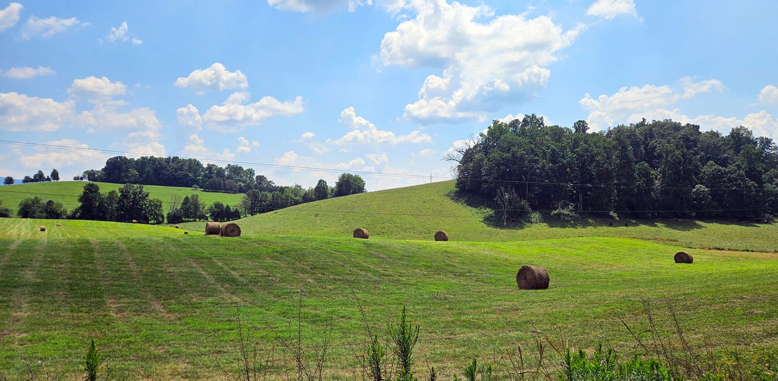 Farm Business plan - Winter Business Intensive: Getting Started