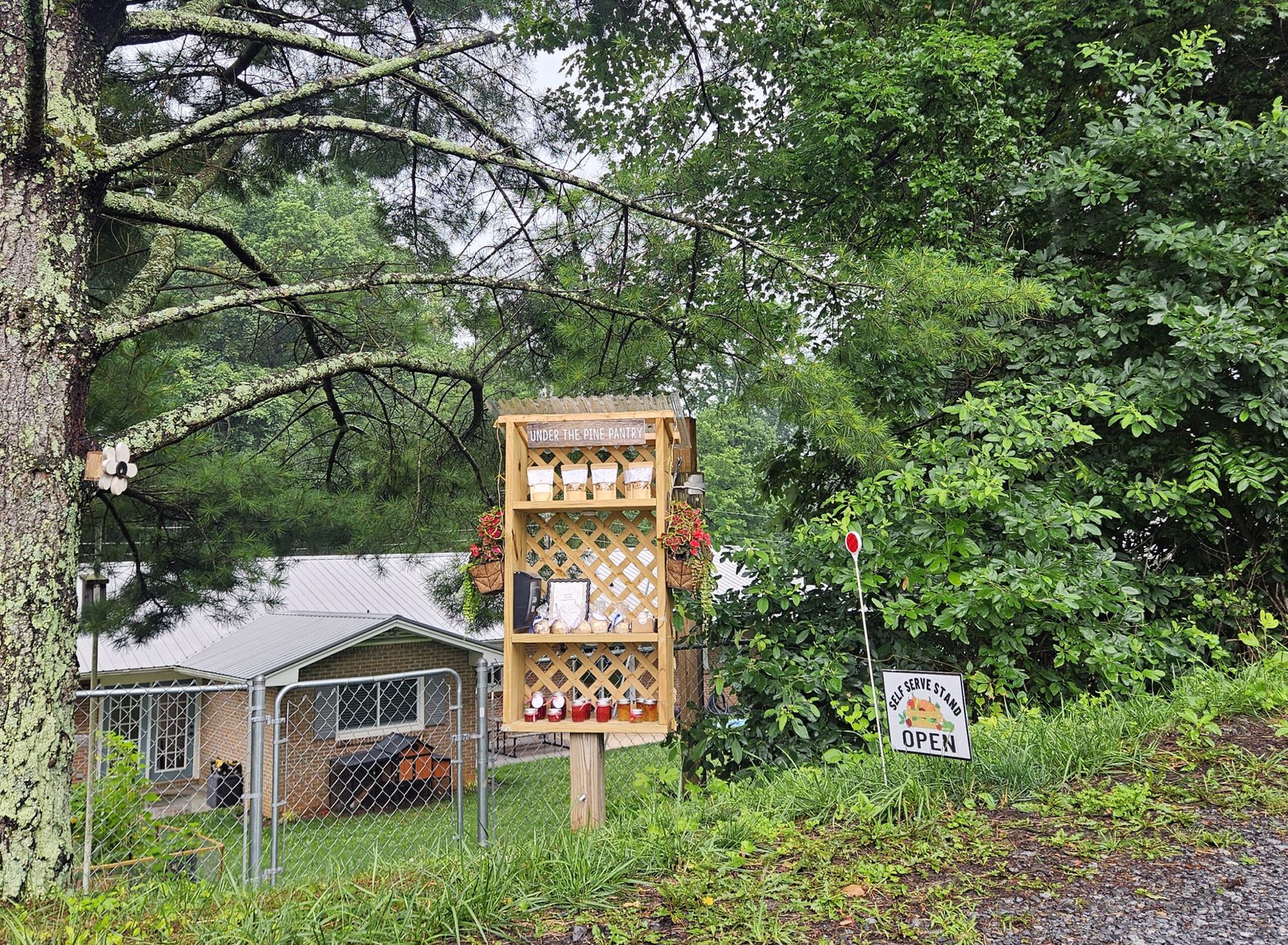 Opening a Farm Stand - This is a farm stand at Squabble State Cider in Bristol, VA