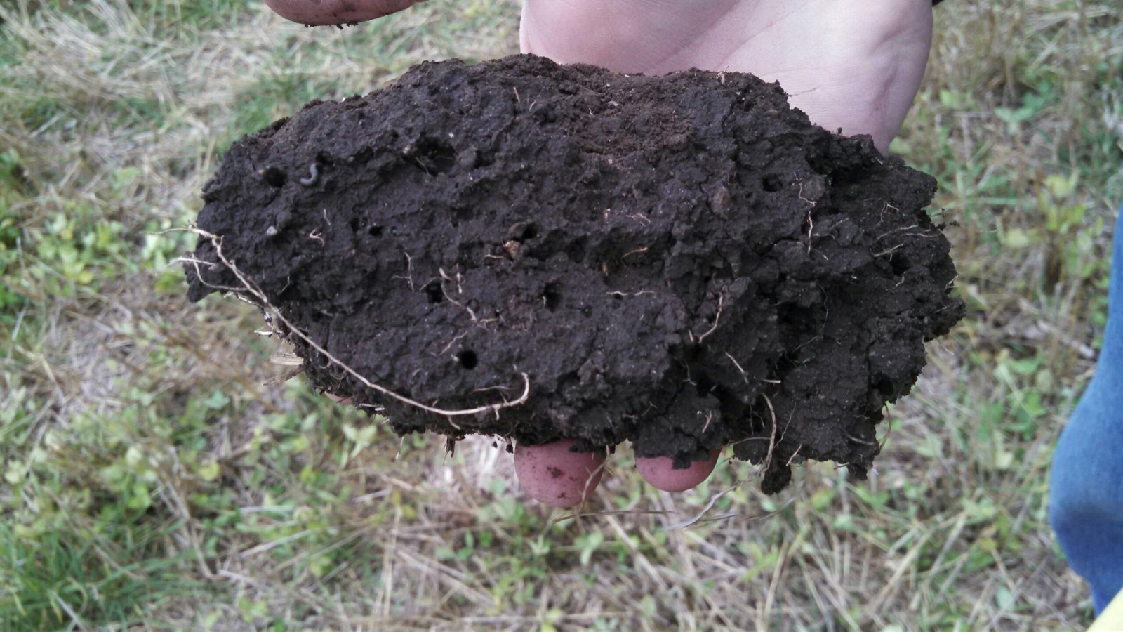 Organic Soil Management - phot by USDA NRCS South Dakota, Public domain, via Wikimedia Commons