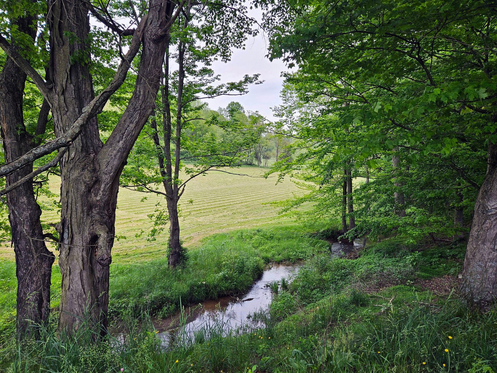Infrustructure Natural Resources1 A stream and a farm field: Farm Infrastructure & Natural Resource Plan