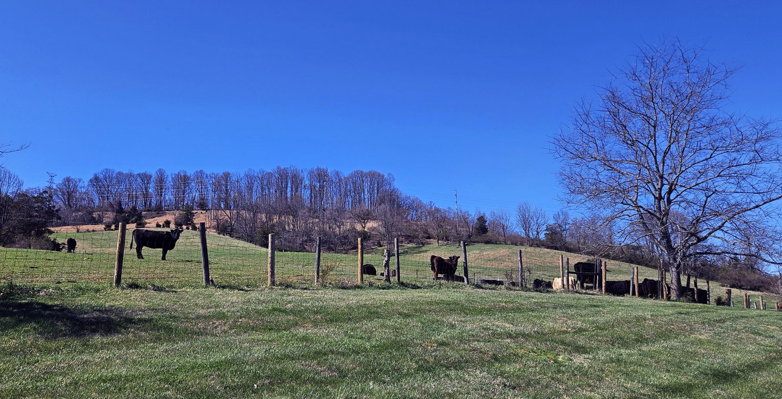 Farming on Leased Land Webinar
